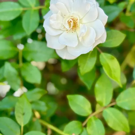 Apartman Comfortable Near The Sea Estepona