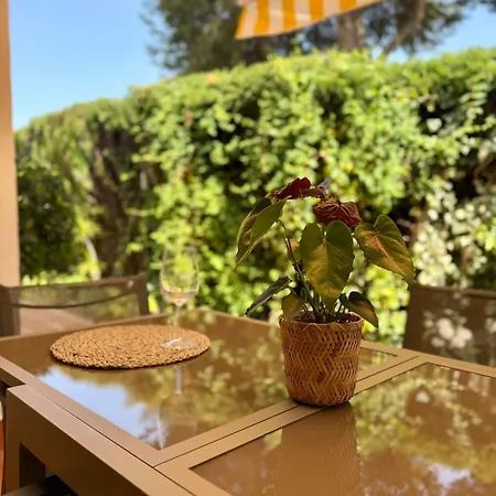 Apartman Comfortable Near The Sea *