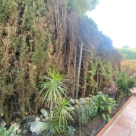 Apartment Comfortable Near The Sea Estepona