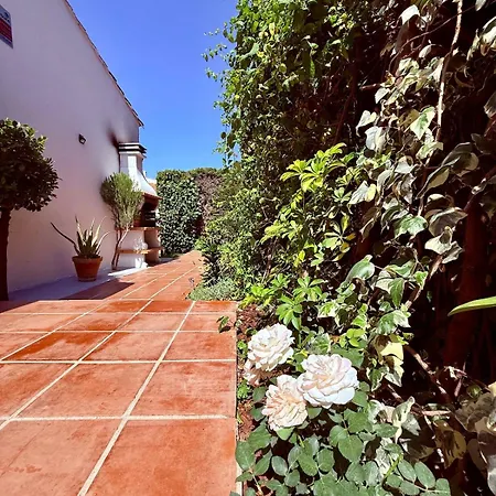 Apartment Comfortable Near The Sea *