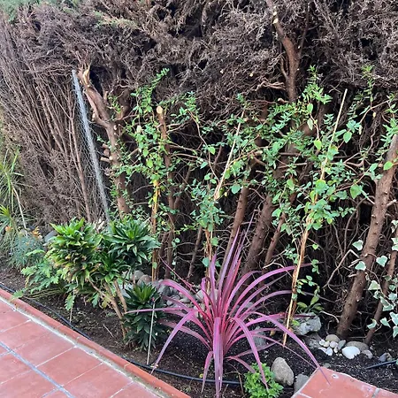 Comfortable Near The Sea * Estepona