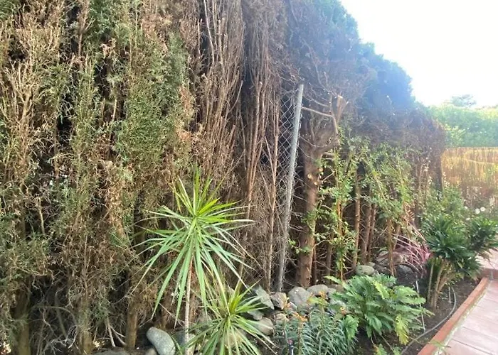 Apartment Comfortable Near The Sea Estepona