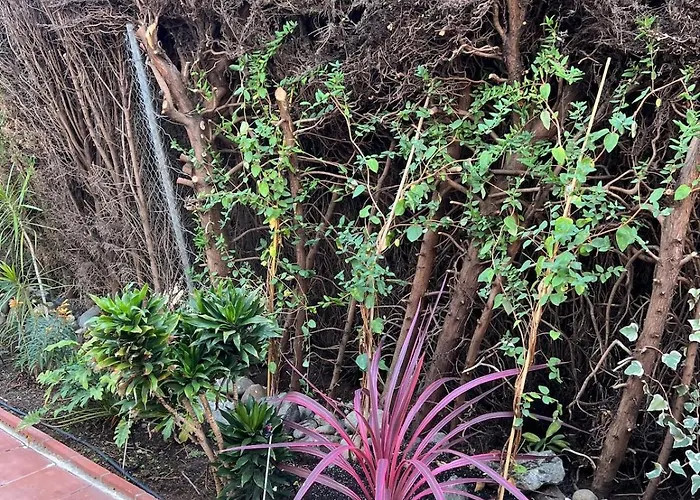 Comfortable Near The Sea * Estepona